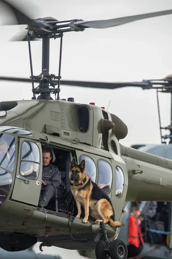 24+ Images of Soldiers and Dogs Sharing a Bond of Absolute Trust