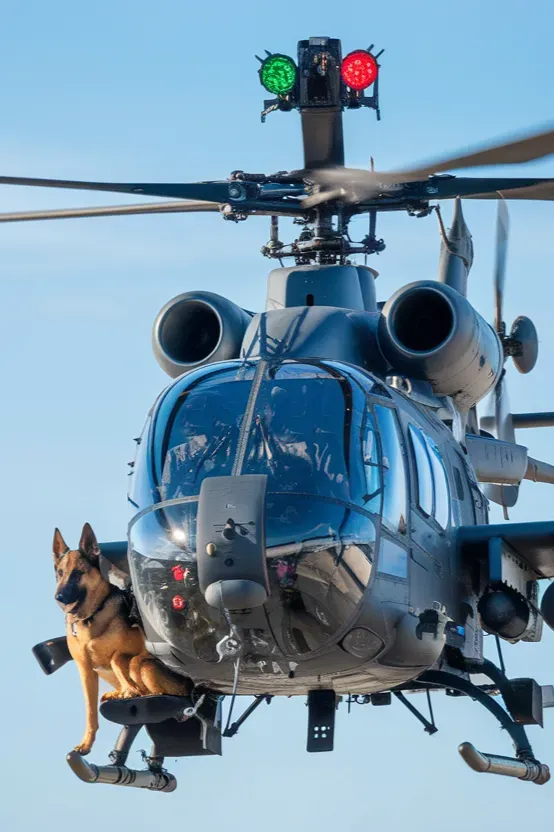 24+ Images of Soldiers and Dogs Sharing a Bond of Absolute Trust