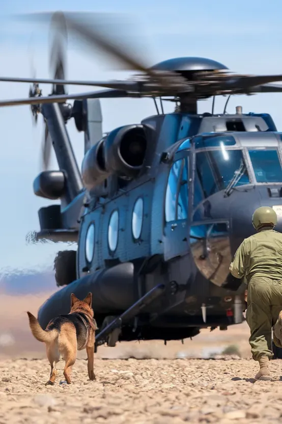 24+ Images of Soldiers and Dogs Sharing a Bond of Absolute Trust