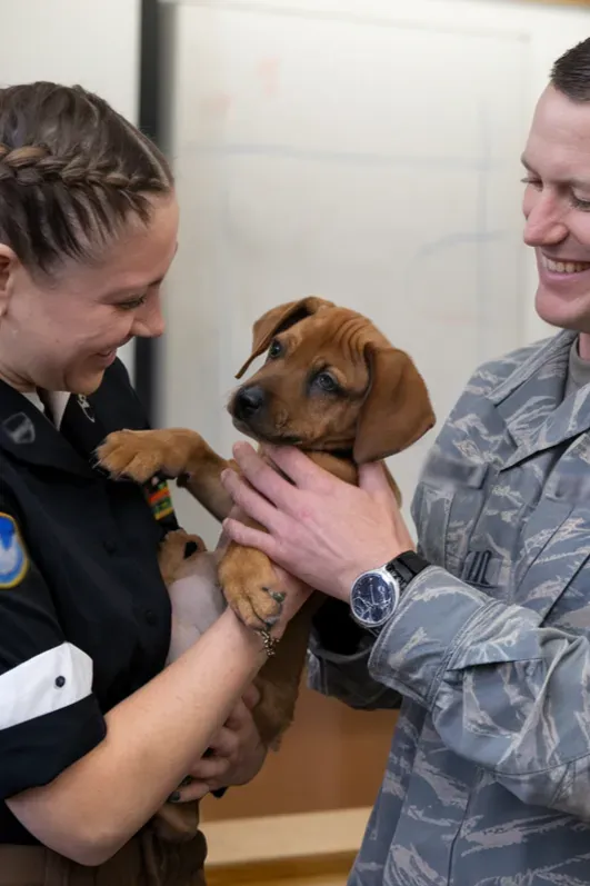 24+ Images of Soldiers and Dogs Who Share a Bond Stronger Than Words