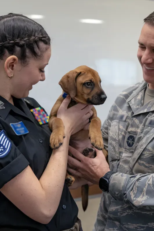 24+ Images of Soldiers and Dogs Who Share a Bond Stronger Than Words