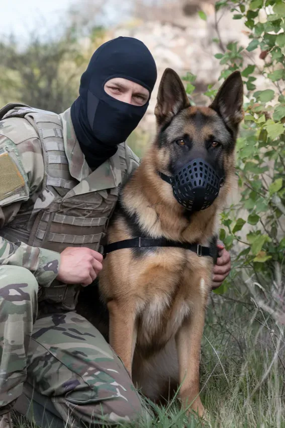 24+ Images of Soldiers and Dogs Who Share a Bond Stronger Than Words