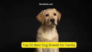 Top 10 Best Dog Breeds for Family