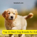 Top 10 Best Dog Breeds for Kids