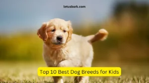 Top 10 Best Dog Breeds for Kids