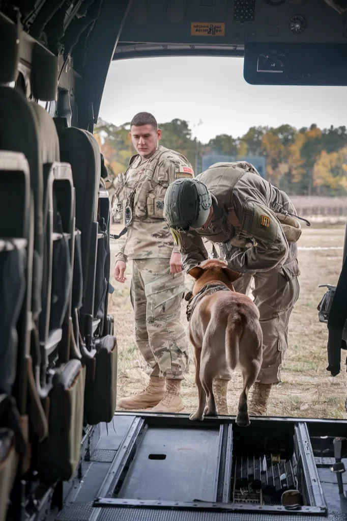 24+ Images of the Powerful Bond Between a Soldier and His Dog