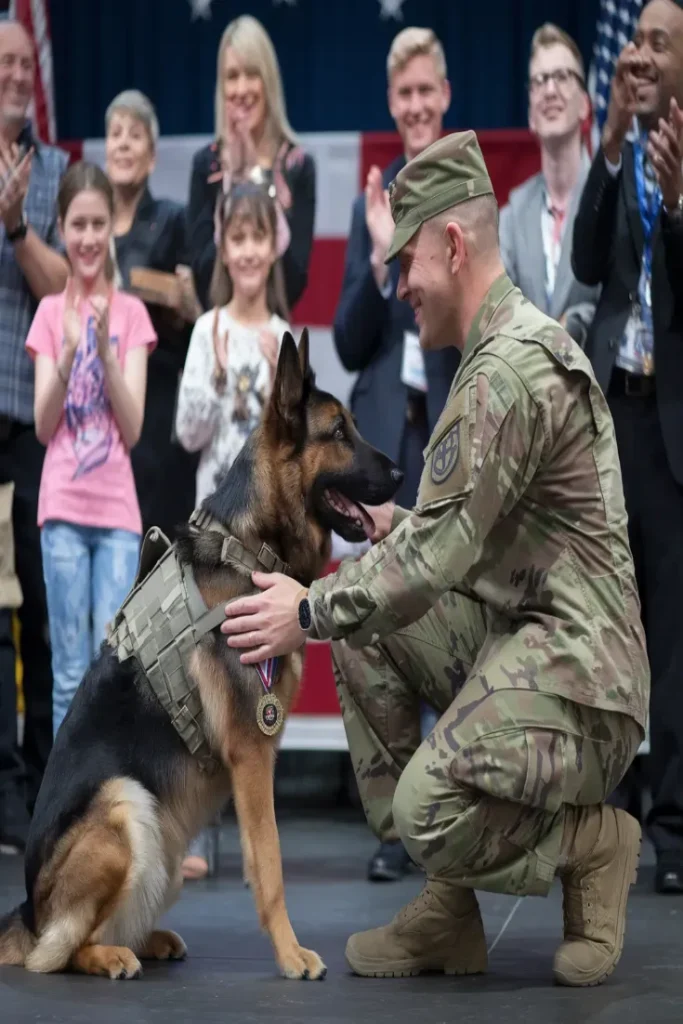 26+ Heartwarming Images of the Deep Bond Between Soldiers and Their Dogs