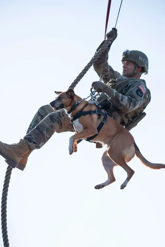 30+ Heartwarming Images of the Unbreakable Bond Between a Soldier and His Dog