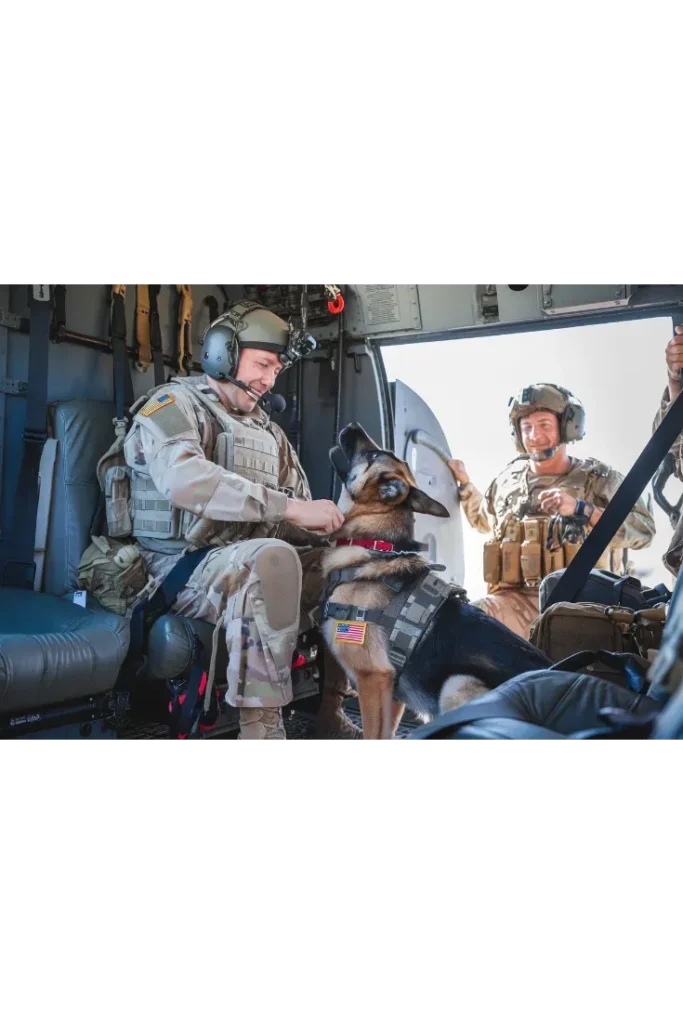 27+ Heartwarming Images of the Unbreakable Bond Between a Soldier and His Dog