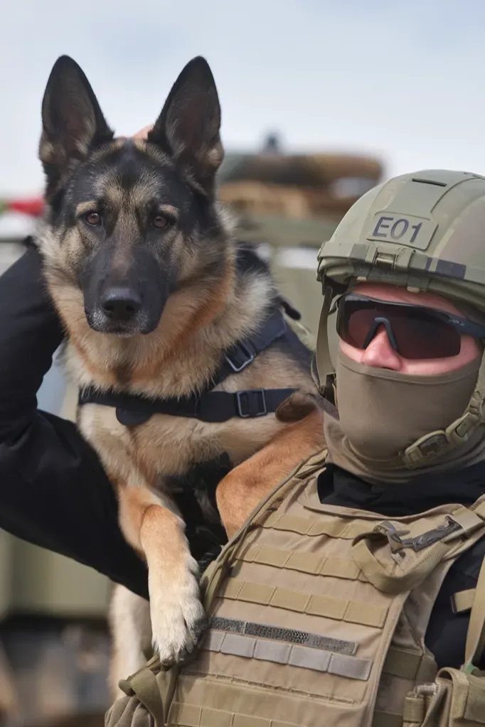 35+ Heartwarming Images Celebrating the Powerful Bond Between a Soldier and His Dog