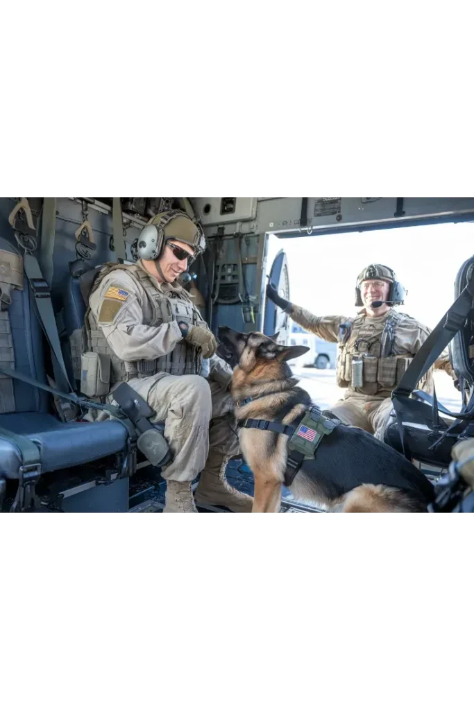 27+ Heartwarming Images of the Unbreakable Bond Between a Soldier and His Dog