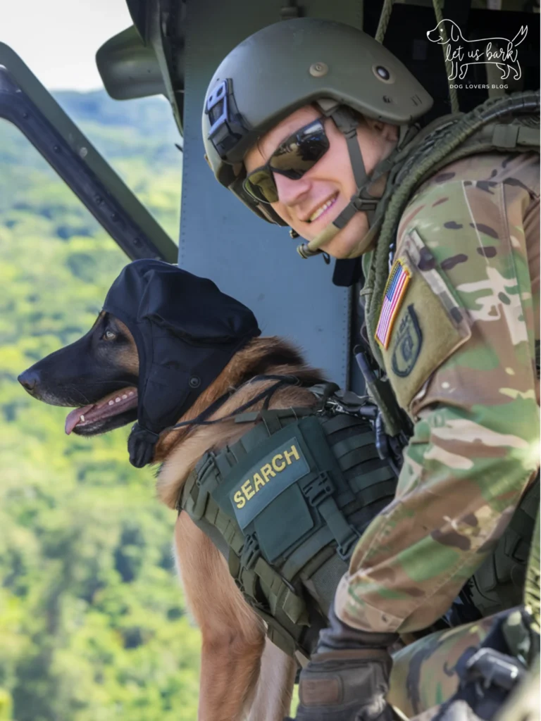 24+ Heartwarming Images of the Unbreakable Relationship Between a Soldier and His Dog