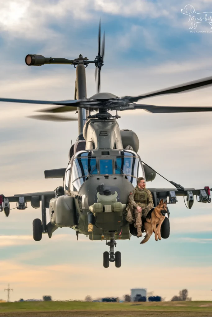 25+ Heartwarming Images of the Unbreakable Bond Between a Soldier and His Dog