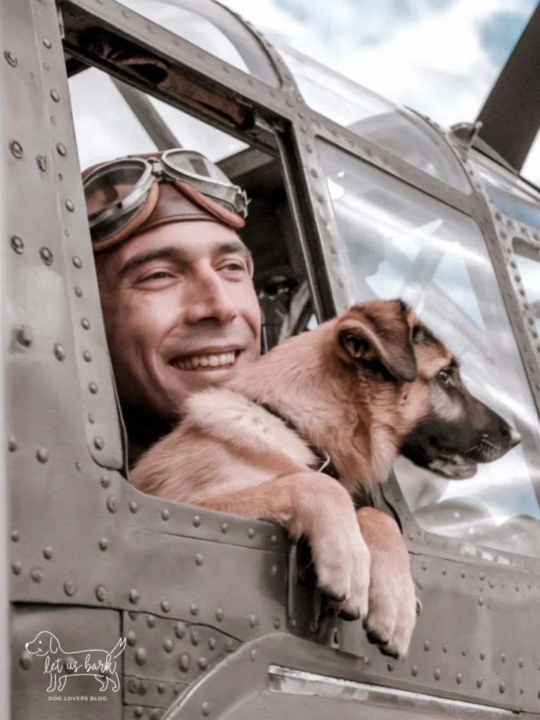 24+ Heartwarming Images of the Unbreakable Relationship Between a Soldier and His Dog