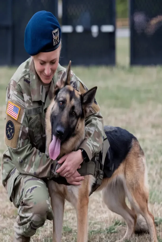 30+ Heartwarming Images of the Unbreakable Relationship Between a Soldier and His Dog