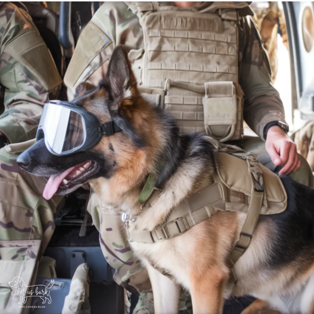 24+ Heartwarming Images of the Unbreakable Relationship Between a Soldier and His Dog