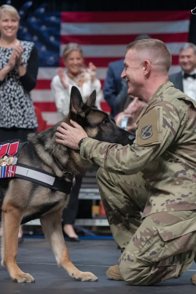 28+ Heartwarming Images of the Relationship Between a Soldier and His Dog