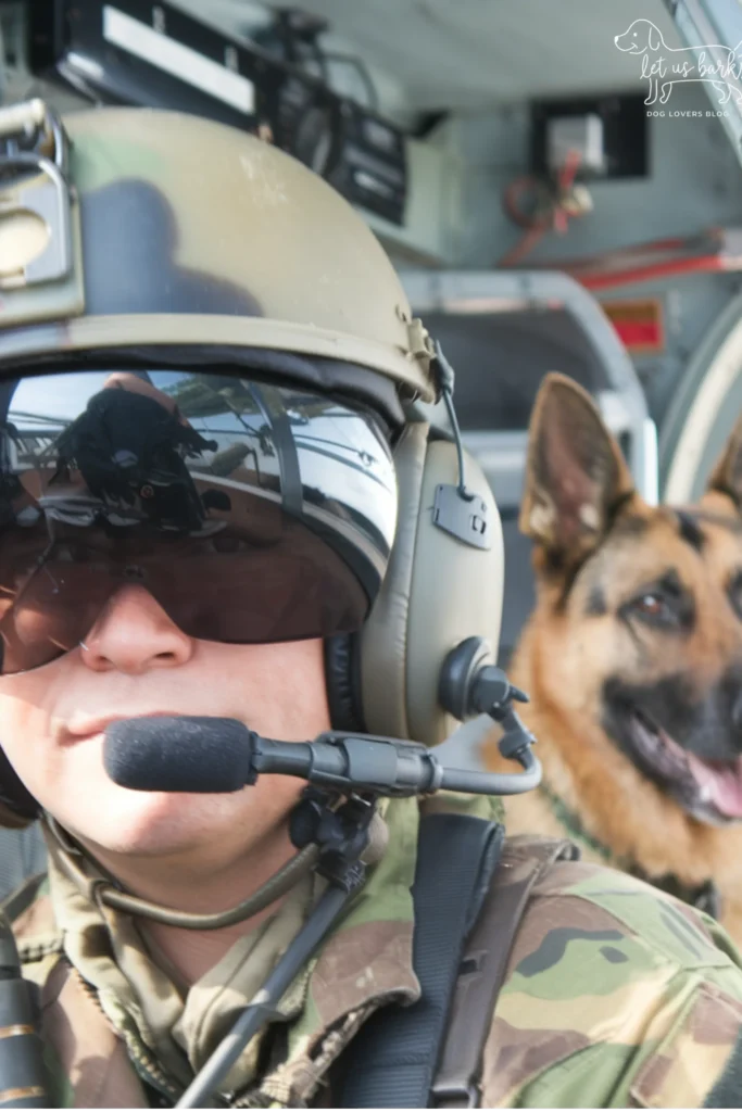 28+ Heartwarming Images of the Relationship Between a Soldier and His Dog