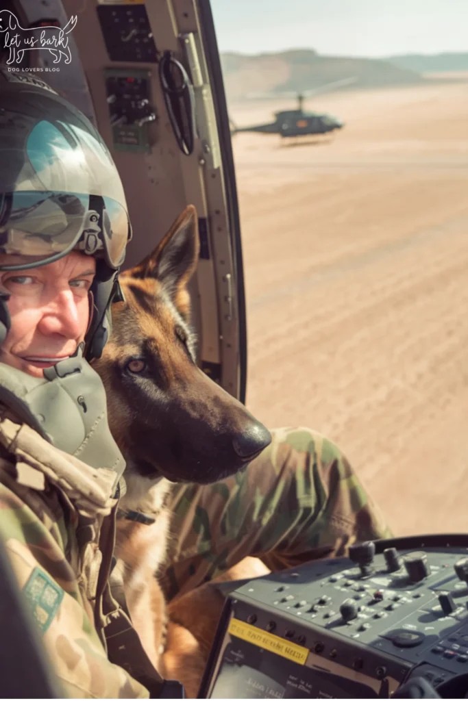 28+ Heartwarming Images of the Relationship Between a Soldier and His Dog