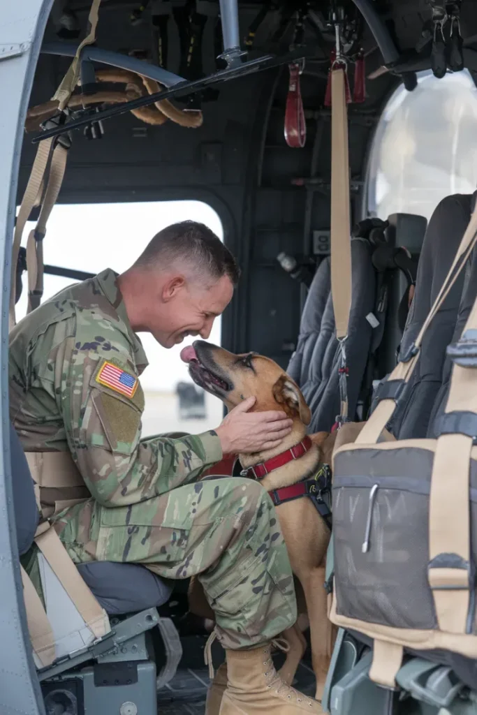 24+ Images of the Unbreakable Bond Between a Soldier and His Dog