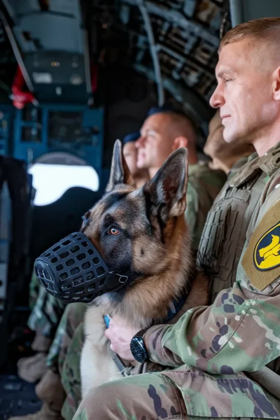 24+ Images of the Powerful Bond Between a Soldier and His Dog