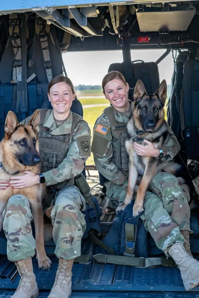 26+ Heartwarming Images of the Incredible Relationship Between a Soldier and His Dog