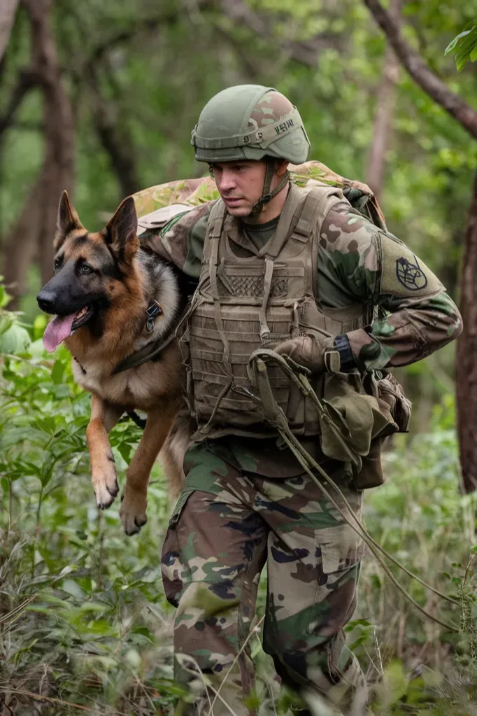 35+ Heartwarming Images Celebrating the Powerful Bond Between a Soldier and His Dog