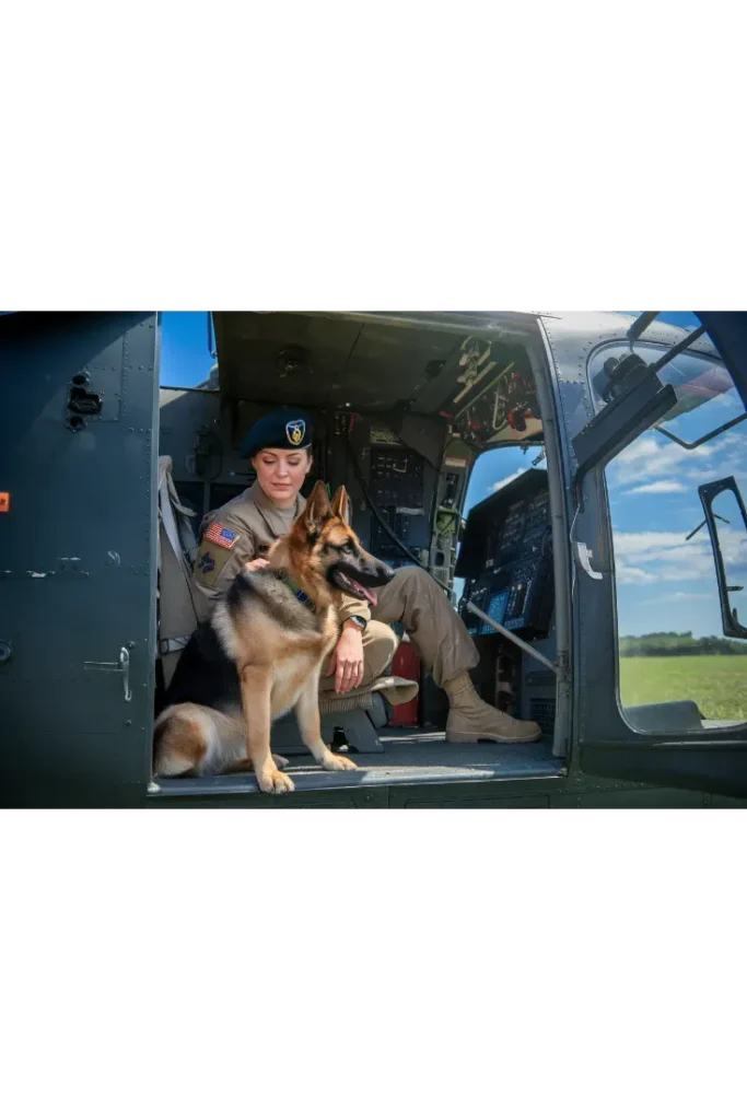 24+ Images of the Unbreakable Bond Between a Soldier and His Dog