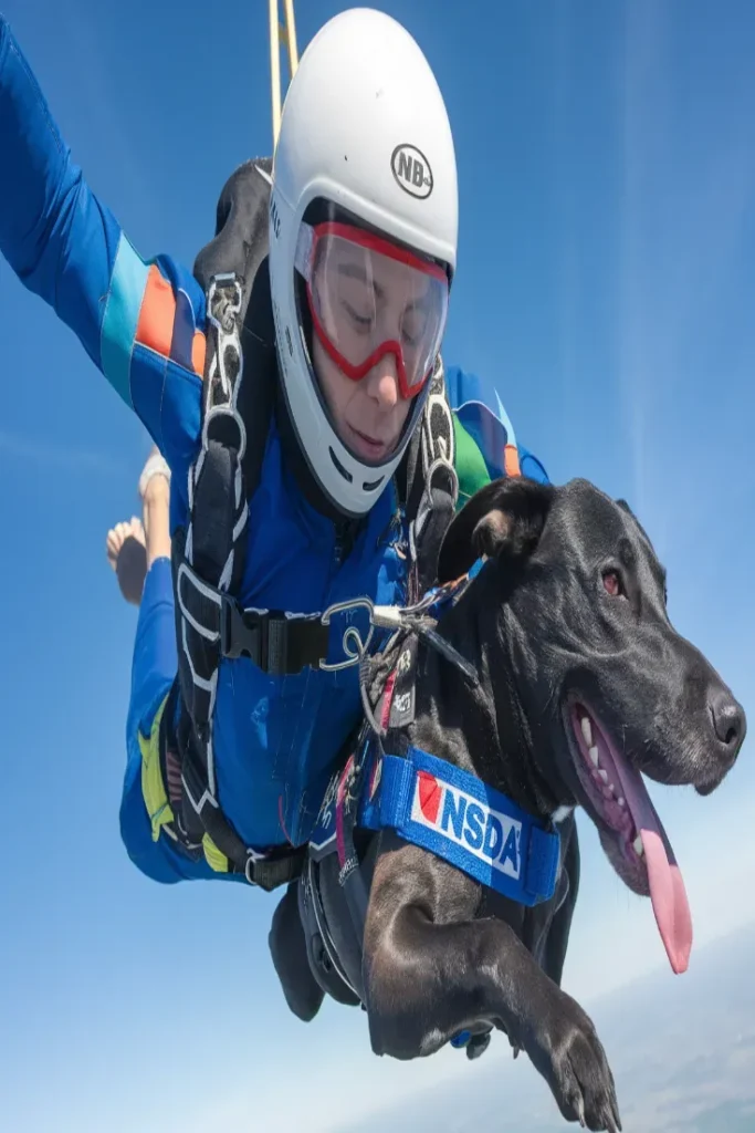 26+ Images of the Unbreakable Bond Between a Soldier and His Dog: A Heartfelt Tribute