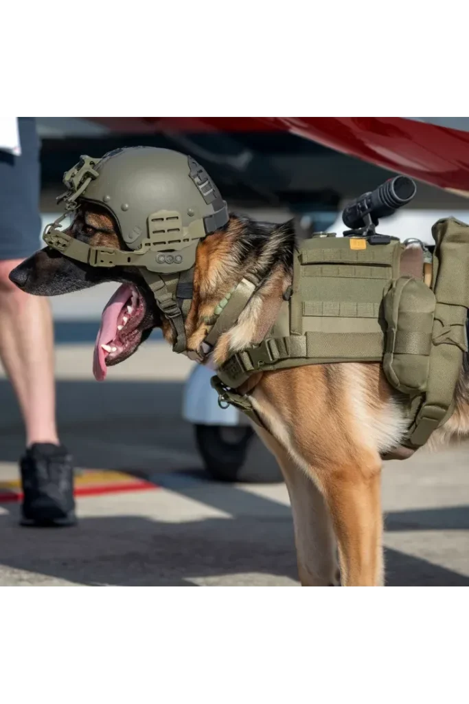 40+ Images of the Heartwarming Relationship Between a Soldier and His Dog