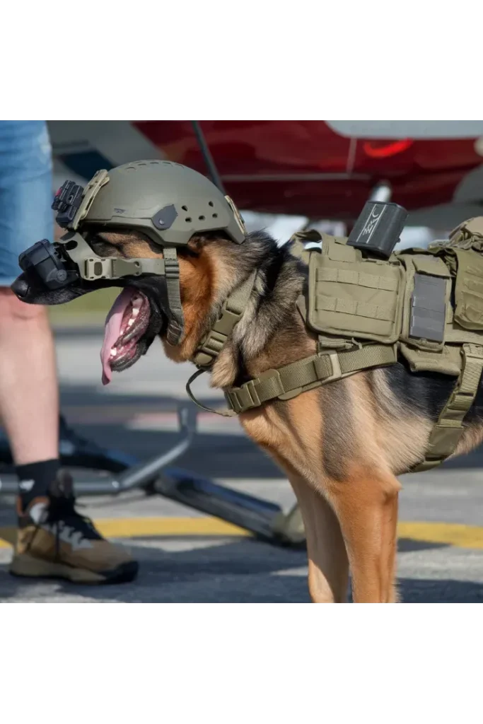 40+ Images of the Heartwarming Relationship Between a Soldier and His Dog