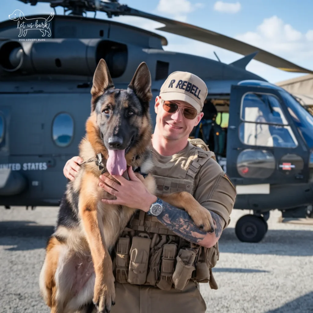 24+ Heartwarming Images of the Unbreakable Relationship Between a Soldier and His Dog