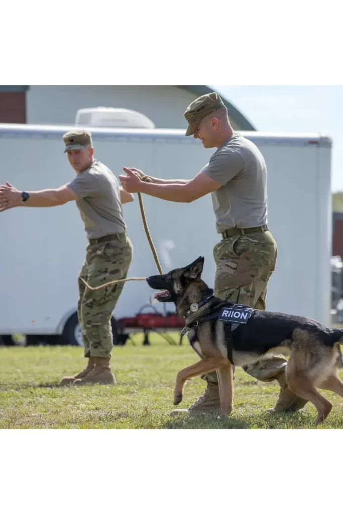 27+ Heartwarming Images of the Unbreakable Bond Between a Soldier and His Dog