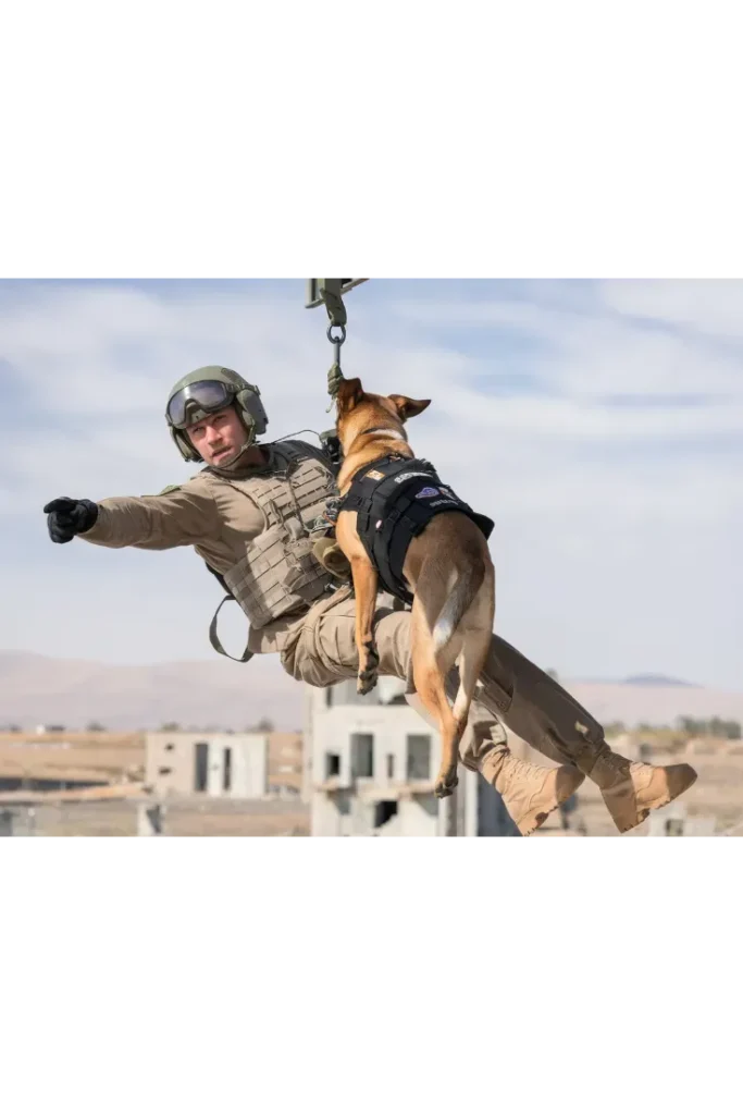 24+ Images of the Unbreakable Bond Between a Soldier and His Dog