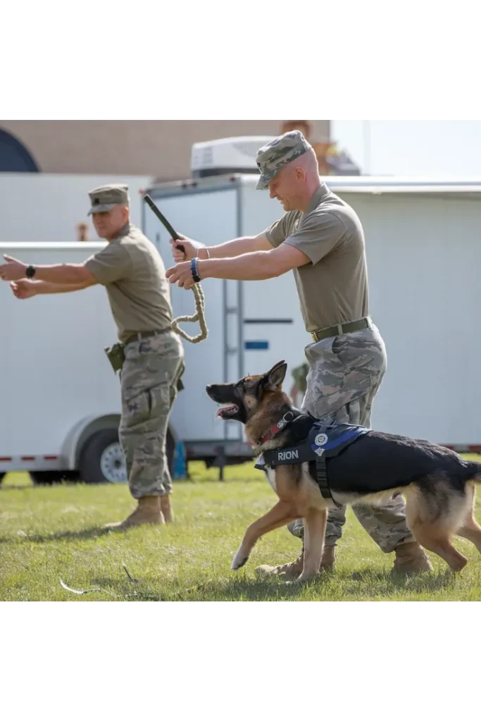 27+ Heartwarming Images of the Unbreakable Bond Between a Soldier and His Dog