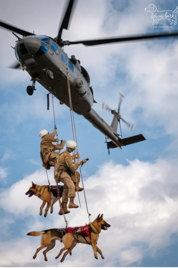 25+ Heartwarming Images of the Unbreakable Bond Between a Soldier and His Dog