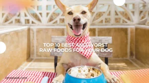 Top 10 best and worst raw foods for your dog