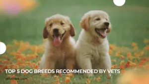 Top 5 dog breeds recommended by vets