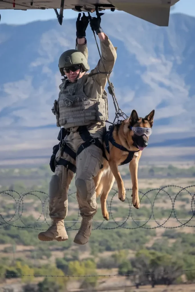 24+ Heartwarming Images of the Deep Bond Between a Soldier and His Dog