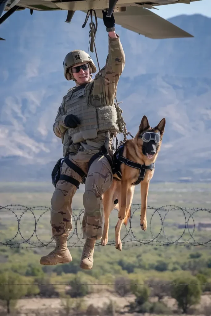 24+ Heartwarming Images of the Deep Bond Between a Soldier and His Dog