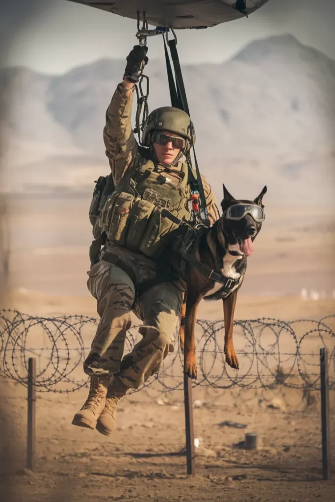 24+ Images of the Relationship Between a Soldier and His Dog: A Bond Built on Loyalty and Love